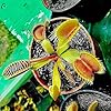 Fresh Green Venus Flytrap - Bizarre Live Plants - Mars Venus Flytraps #3