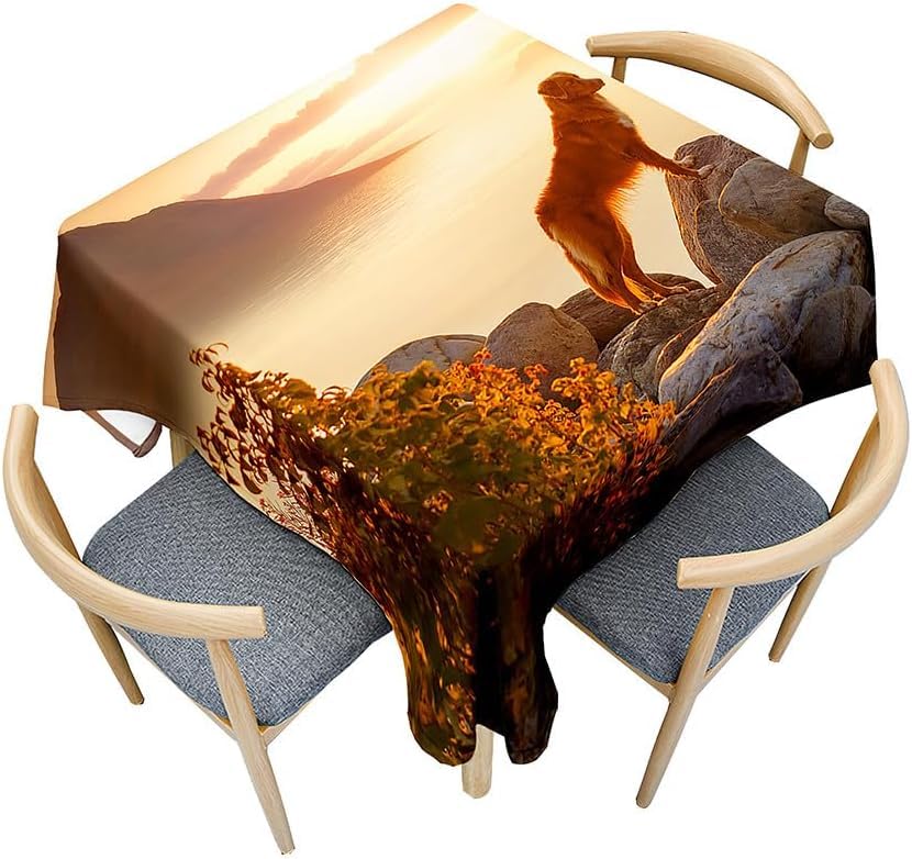 Tizhweqo Mantel Mesa Cuadrada Otoño, Manteles Antimanchas Golden Retriever, 3D Impresión Mantel Impermeable Lavable para Cocina Salón Comedor, 150x150 cm Q.P2255