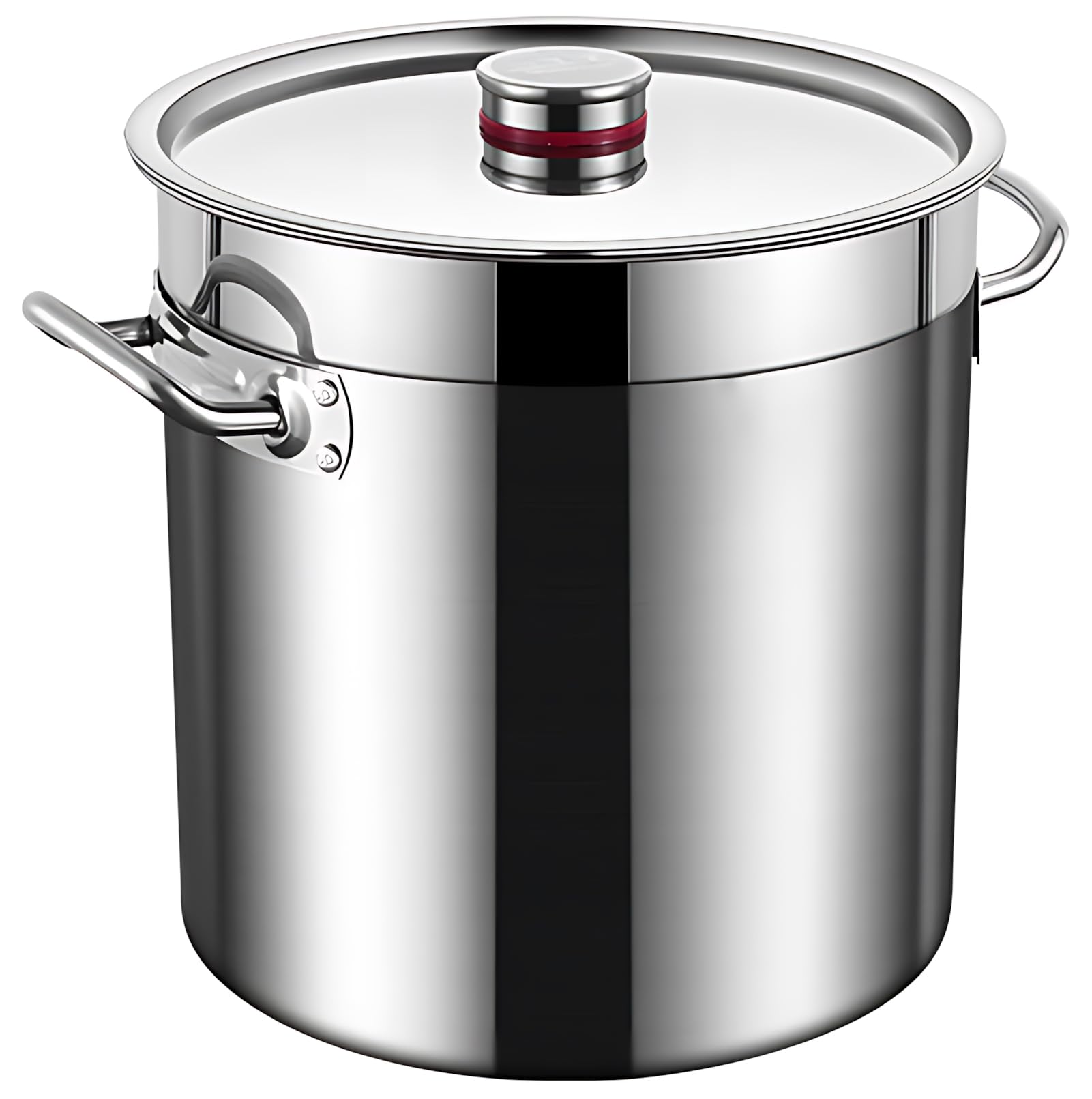 Pentola in acciaio inox resistente, grande pentola commerciale con coperchio e manico per fornelli a induzione e a gas, ideale per zuppe e stufati