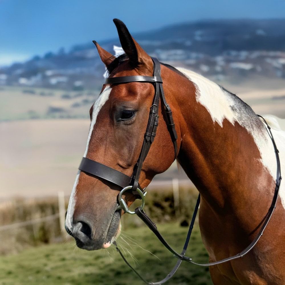 Pravoak Hunter Bridle With Anatomical Comfort Headpiece, Wide Noseband And Leather Reins - Brown