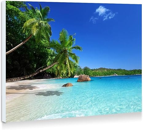 Amazon Co Jp 南国の楽園 太陽の光 ビーチ 海岸 海 ヤシの木 壁の絵 壁掛け ソファの背景絵画 壁アート写真の装飾画の壁画 海 40cmx30cm ホーム キッチン