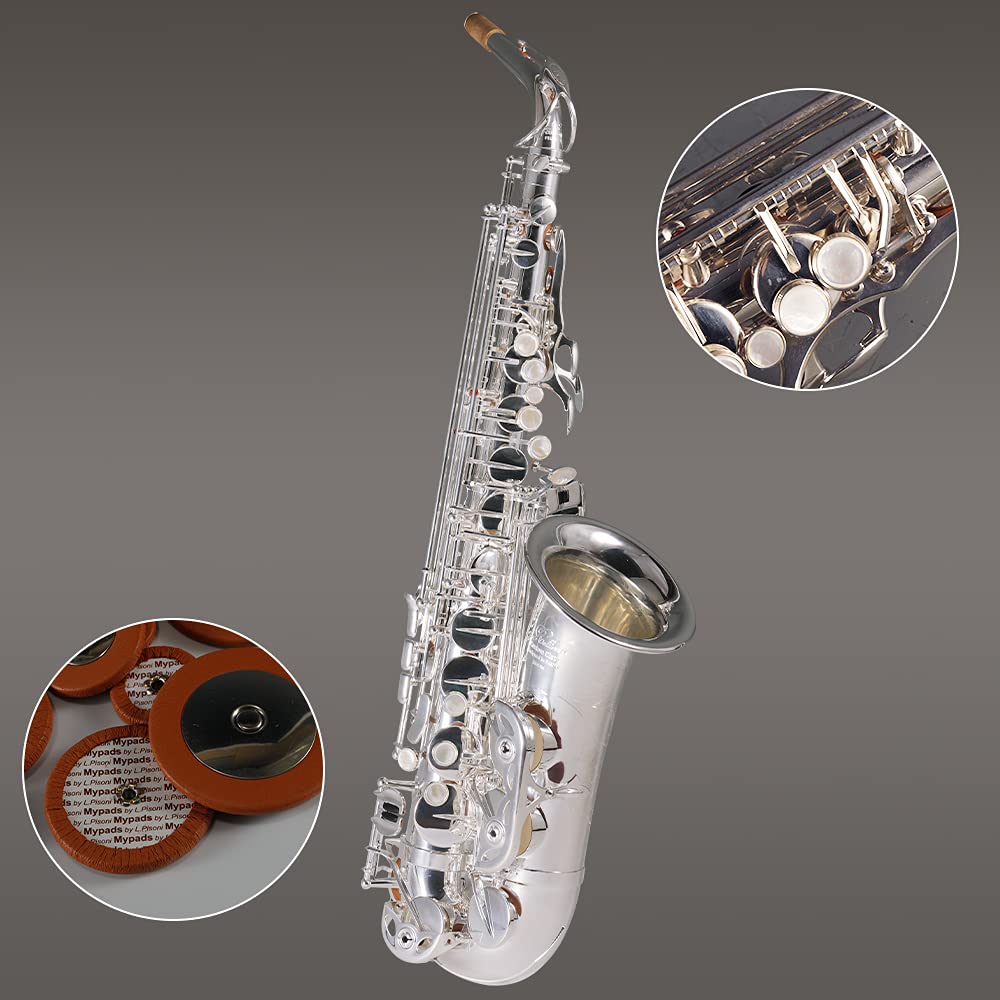 Rollins Saxophone alto RSA-X6,E flat Selmer 54-Key,Brass Material,Silver