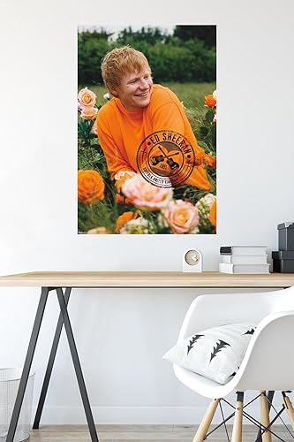 Miniatura 6 de Trends International Ed Sheeran - Póster de pared de campo rosa