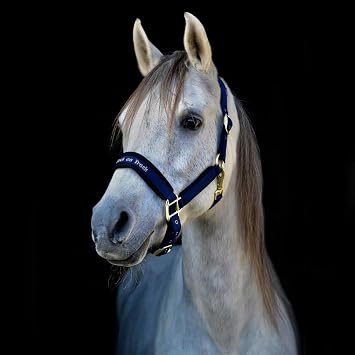 BACK ON TRACK Werano Full Halter