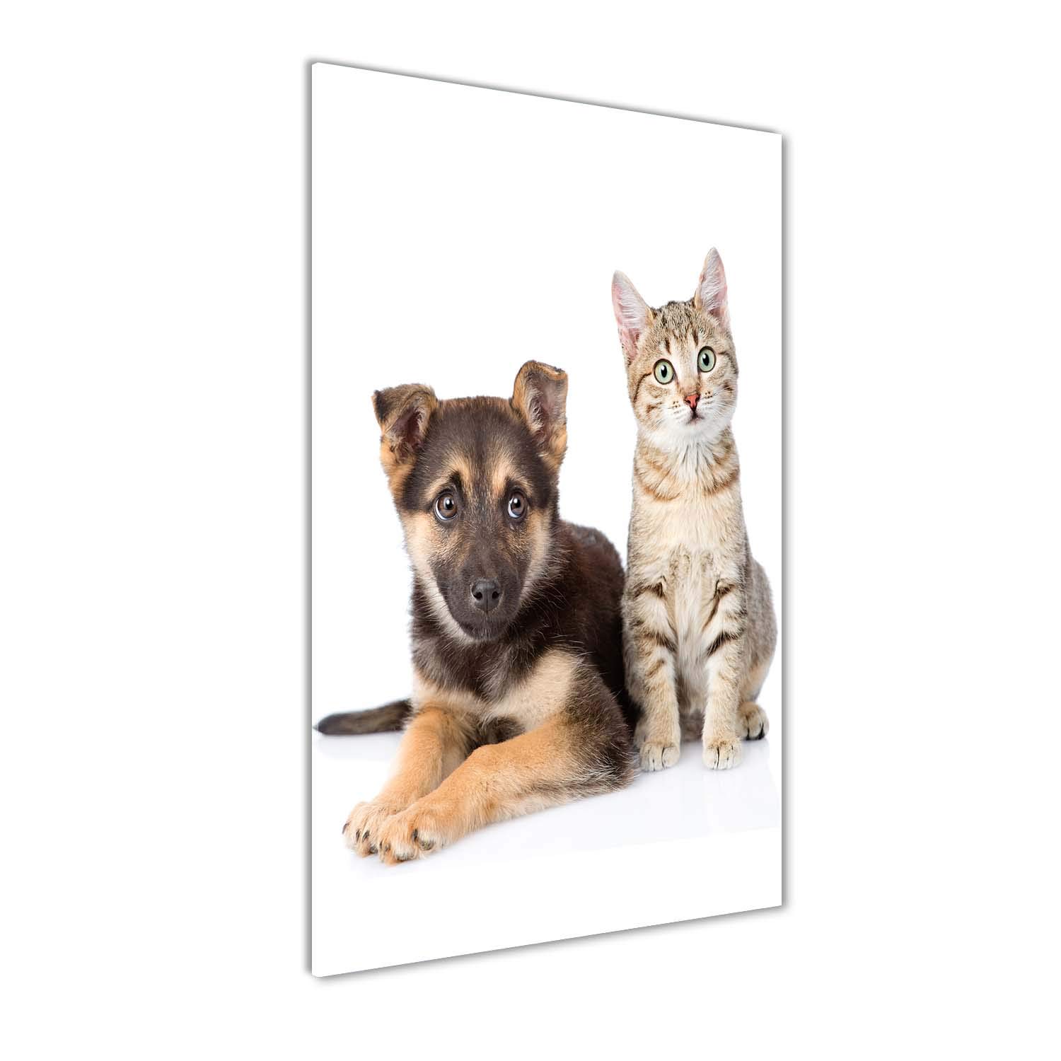 Tableau chien et chat panoramique Tulup en verre de 50x100 cm pour décoration de maison