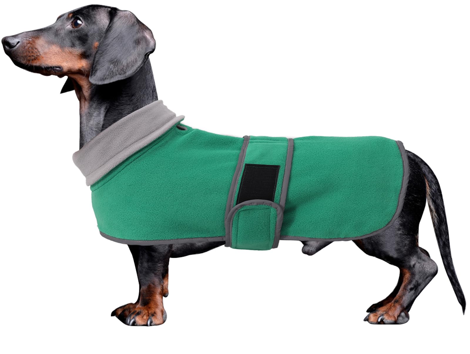 Dachshund coats sausage dog fleece coat in winter miniature dachshund clothes with hook and loop closure and high vis reflective stripe safety