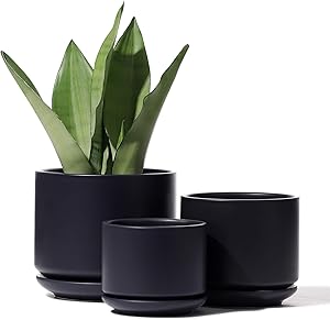 Planters Pots for Plants Indoor - 4+5.5+6.5 Inch Ceramic Planters Bonsai Container with Drainage Holes & Removable Saucers(POTEY 055702, Plants Not Included)