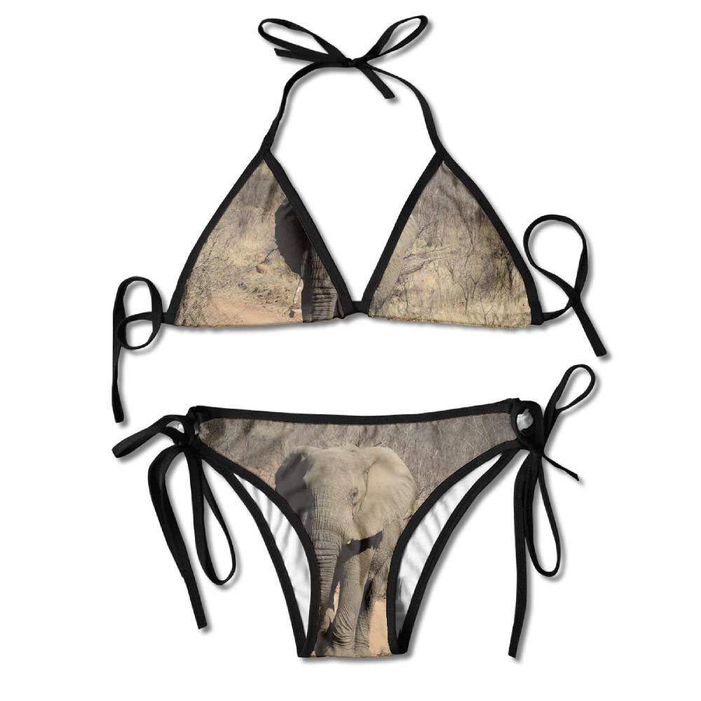 Wild Africa Elephant.JPEG Womens Sexy Bikini Set Outdoor Swimwear Adjustable Swimsuit 2 Piece