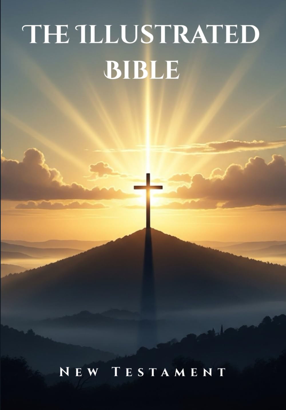 The Illustrated Bible: New Testament