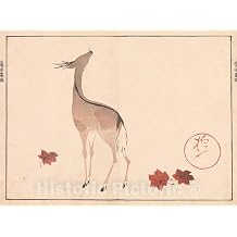 Art Print Sakai Hoitsu - Oson Hoitsu Picture Album Oson gafu - Japan v.1 Vintage Wall Decor 24in x 18in