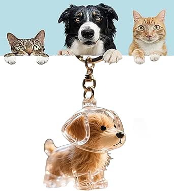 Porte-clés Collector à Mémoire Pour Poils De Chien Ou Chat - Boîtier Transparent En Acrylique, Souvenir Affectif