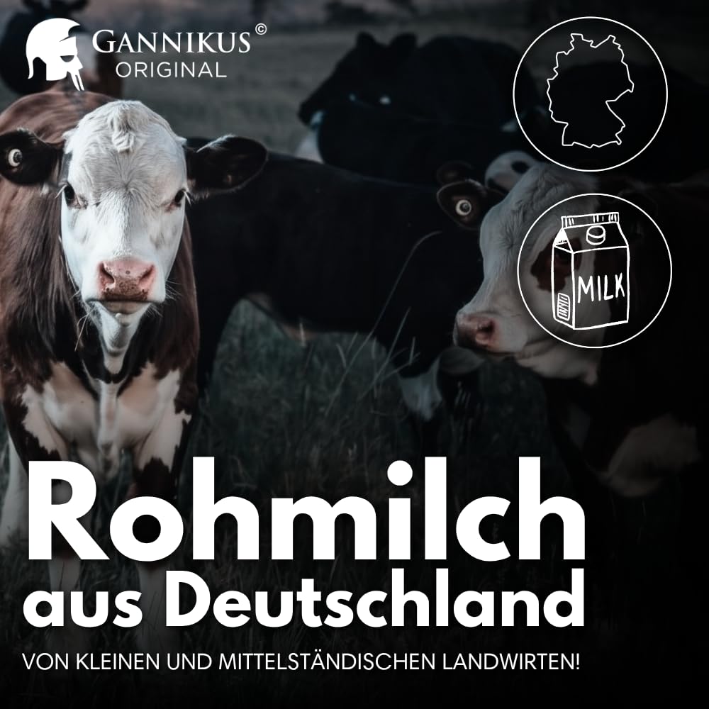 GANNIKUS Original Poudre de protéines de lactosérum – Milk and Honey – 1 kg – Extra crémeuse – Poudre de protéines produite en Allemagne à partir de lait régional – Poudre de protéines pour le