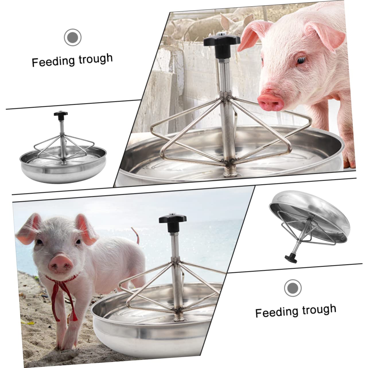 Gatuida Mangiatoia Per Suinetti Inossidabile Ciotola Resistente e Antisversamento Per Alimenti e Facile Posizionare Design e