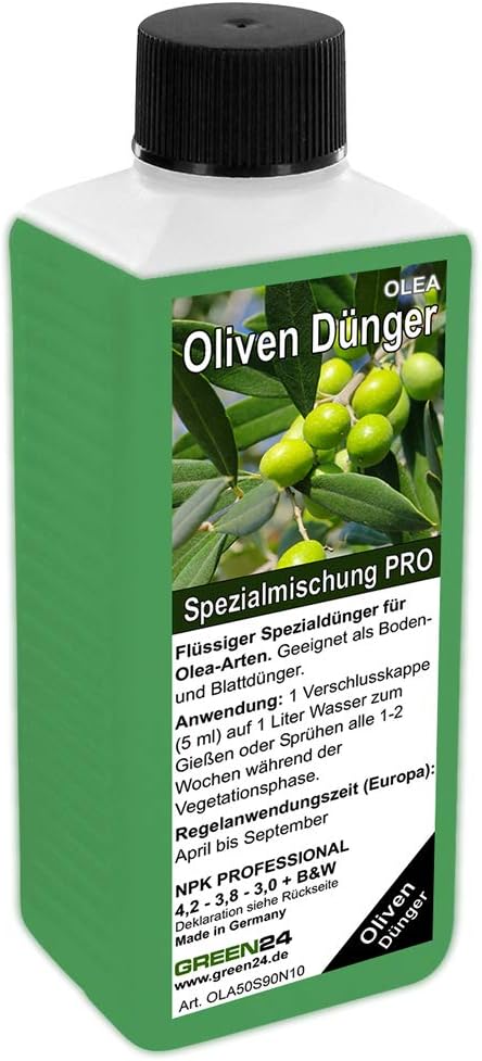 High-tech Olea Europea Olive Fertilizer NPK Plant in Bed and Bucket