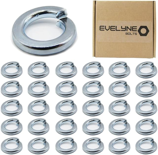 M8 (8mm) Spring Washer Set - Steel - Evelyne (Pack of 30)