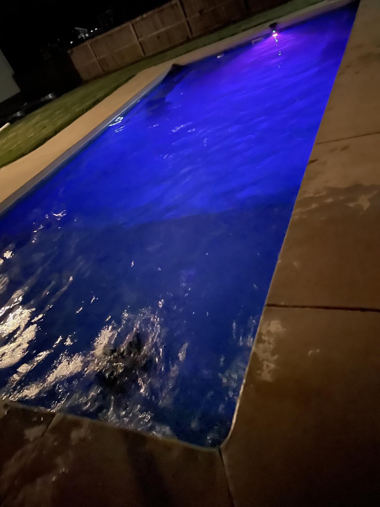 🌴 2026 HOT SALE ☀️ Premium Poolside Solar Light for Magical Backyard Nights 💦