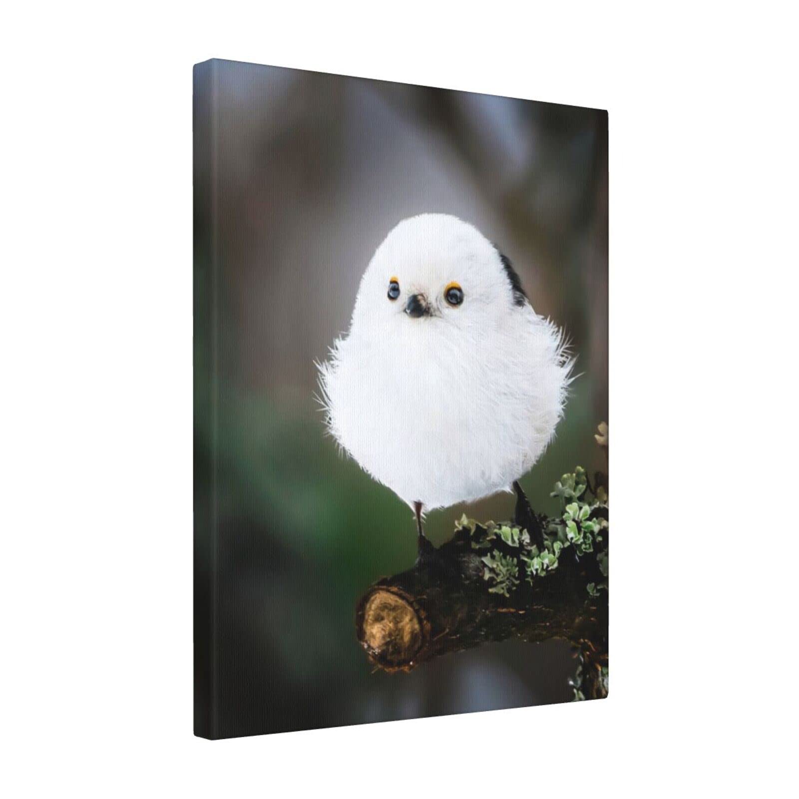 Amazon.co.jp: シマエナガ かわいい 鳥 雪 北海道 ポスター アート