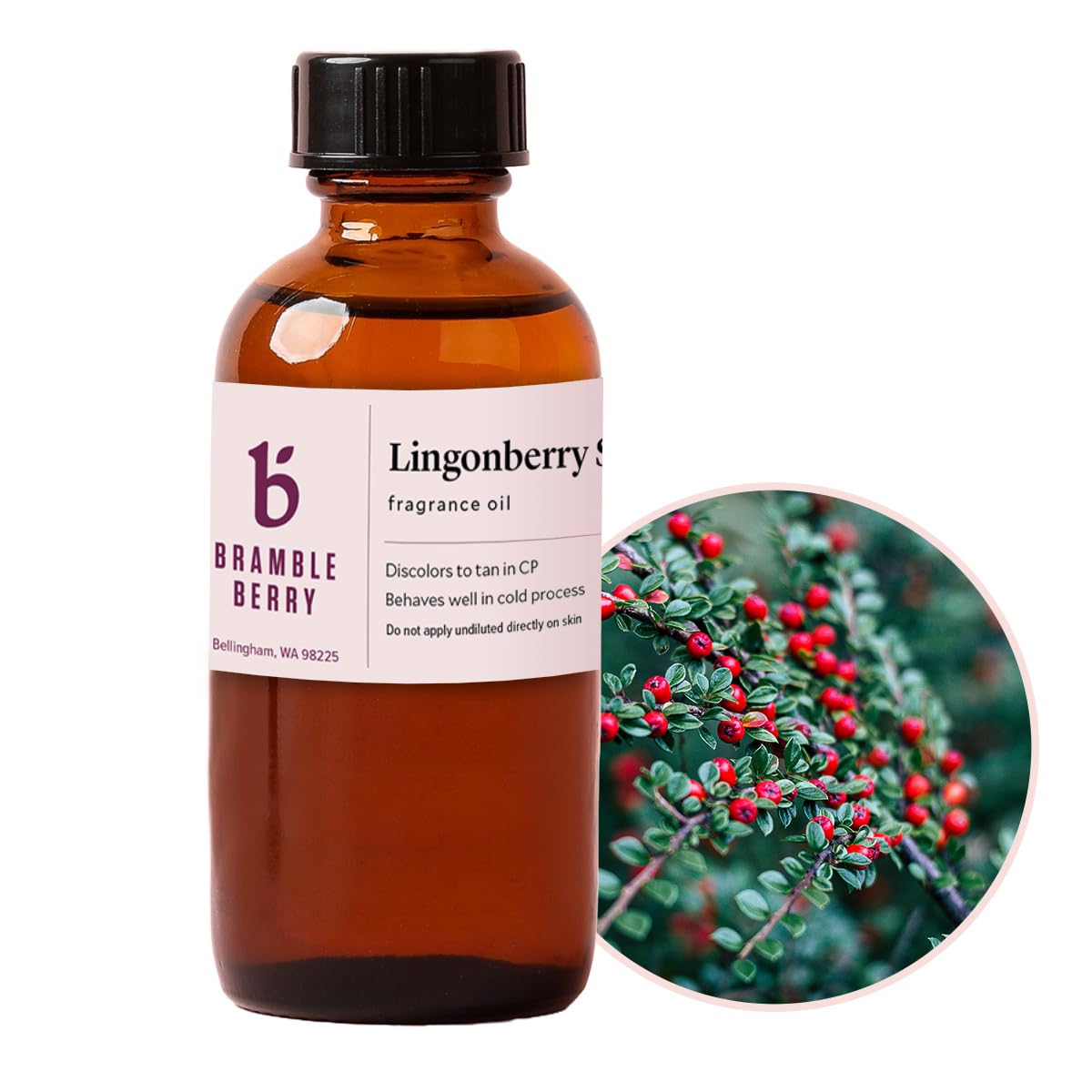 Bramble Berry Lingonberry Spice Fragrance Oil | for Soap, Candles &amp; Lotion