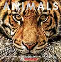 全巻セット ANIMAL LIFE Amazon.com: Animal Life DK Eyewitness