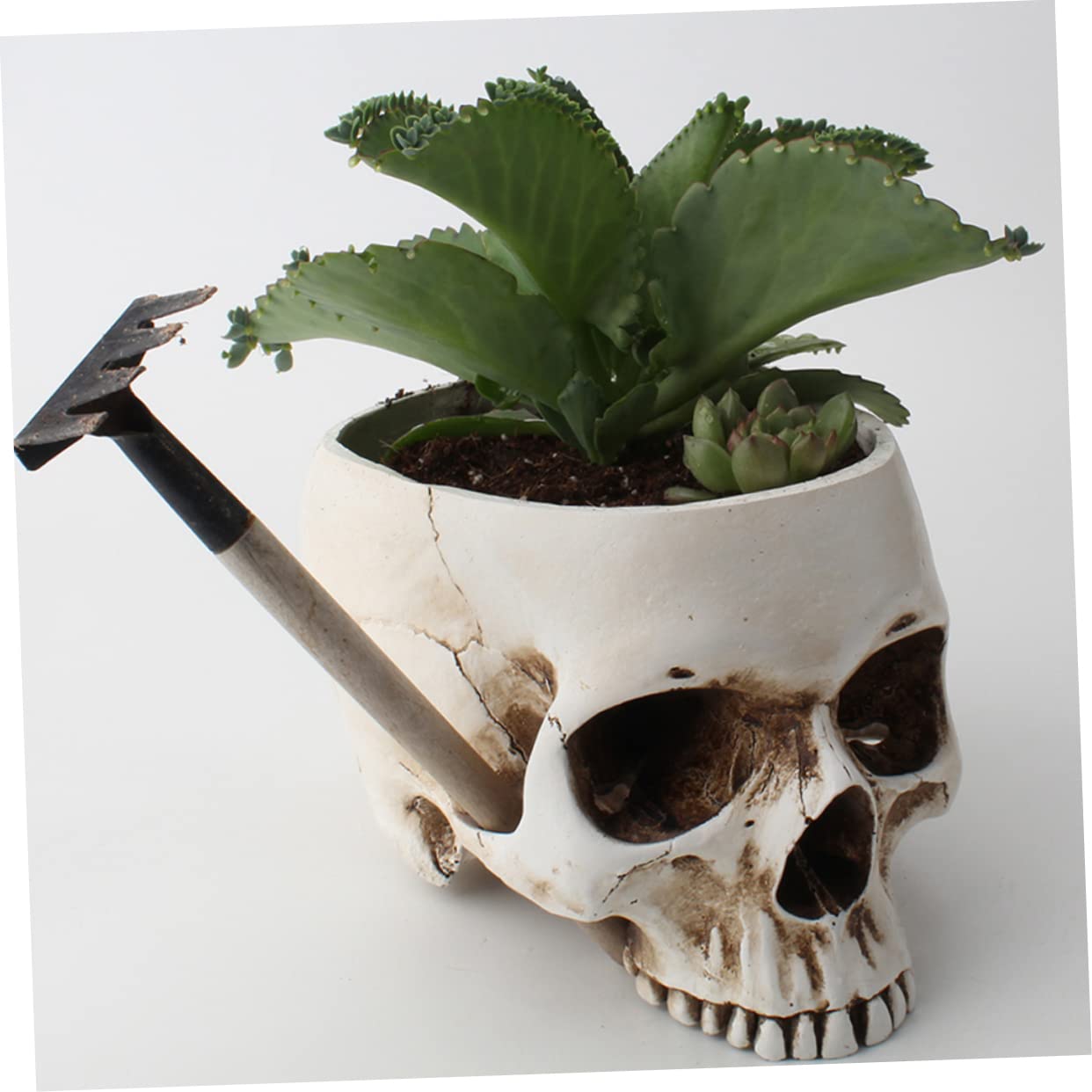 Amazon.co.jp: INOOMP シースカルデザインの樹脂製植木鉢 ヴィンテージ