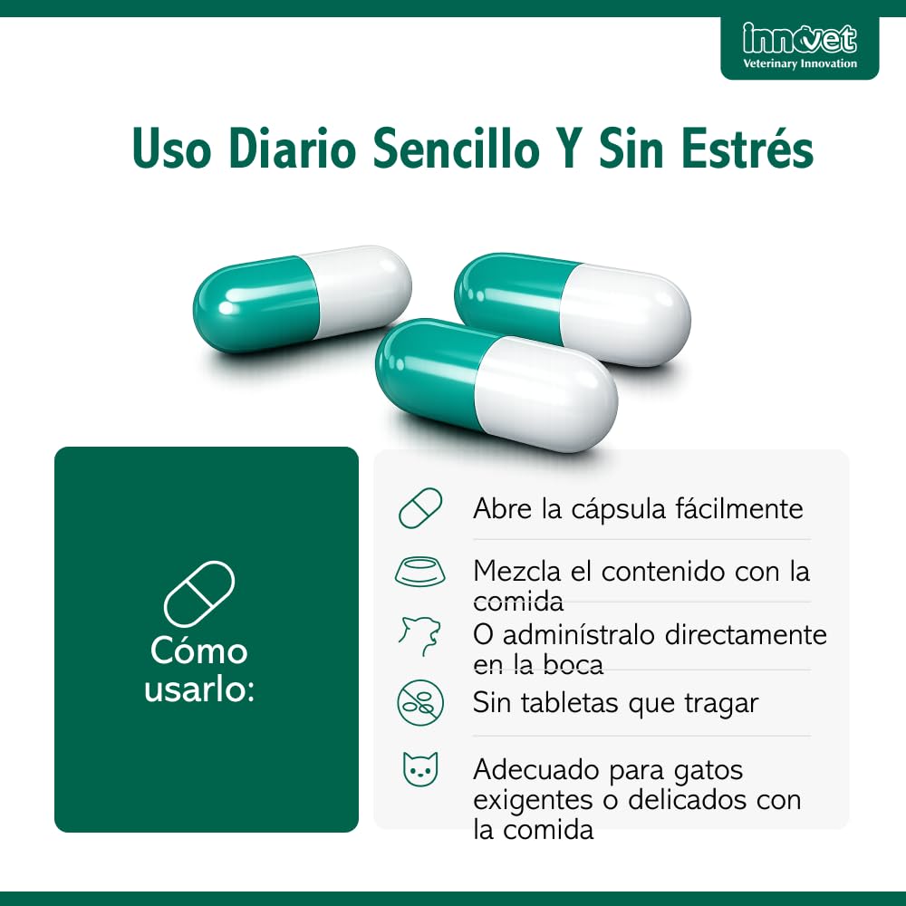 Innovet Condrostress (+) Cat, para gatos adultos y ancianos con rigidez articular, contra la osteoartritis, preserva la capacidad de movimiento, neutraliza los radicales libres, paquete de 30 cápsulas