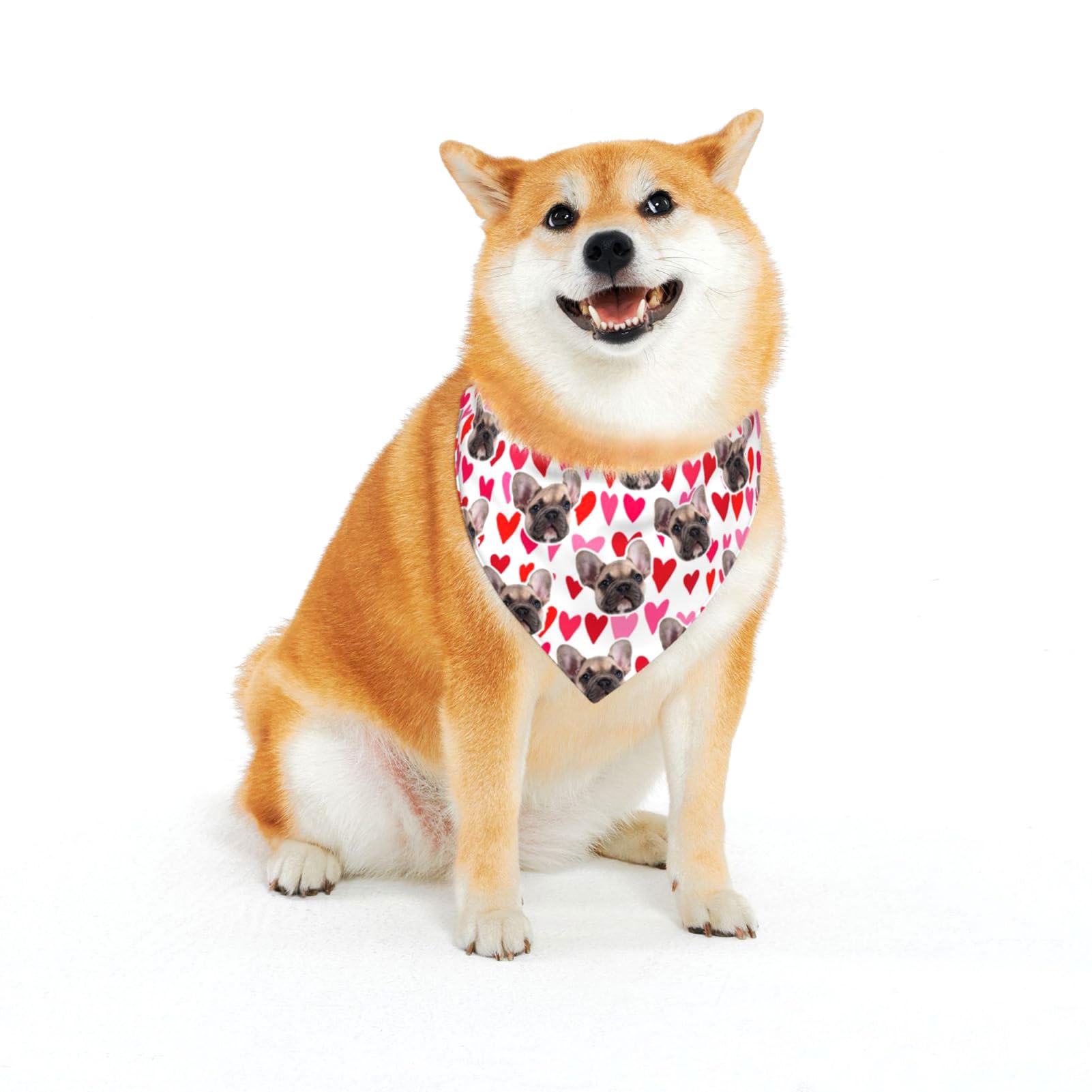 Personalizado Pañuelos para Perros con Texto de Fotos, LucBuy Pañuelo Personalizado de Los Baberos del Triángulo de la Bufanda del Animal Doméstico, Suministros de Accesorios para Mascotas (A2)