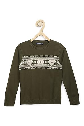 Allen Solly Boys Sweater