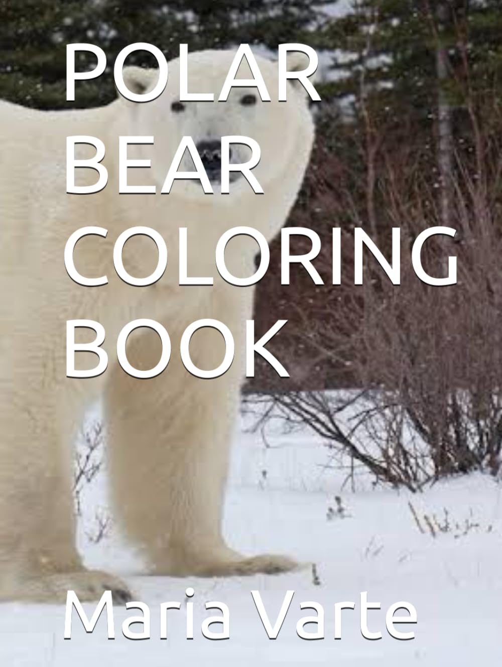 POLAR BEAR COLORING BOOK