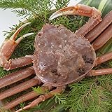 日本海市場 訳あり特上松葉ガニ(ズワイガニ)姿 大サイズ(活1枚800g前後)「本物」の松葉ガニを鳥取県より産地直送でお届けします 1落ち程度