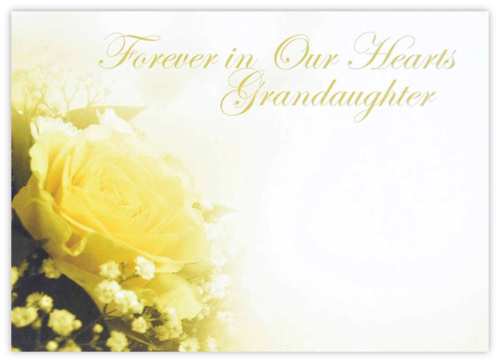 celloexpress Forever in Our Hearts Grandaughter (Yellow Rose) Flower Message Cards - 90mm x 125mm - Bereavement Florist Card Sympathy Condolences Notes (Pack of 18)