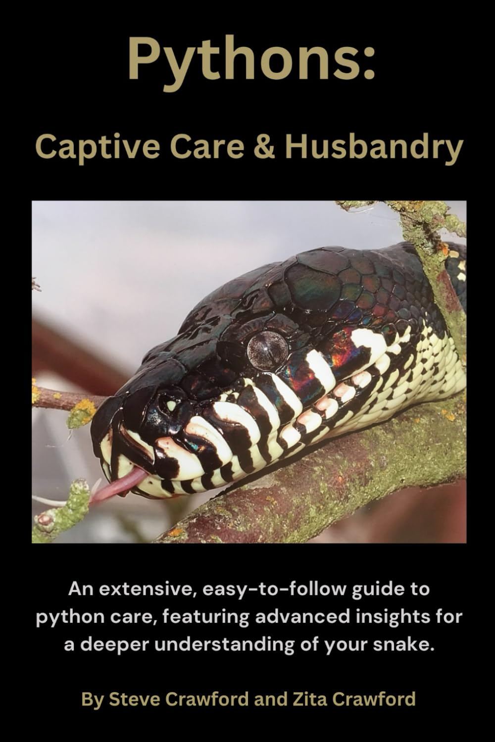 Pythons: Captive Care & Husbandry: An extensive, easy-to-follow guide to python care, featuring advanced insights for a deeper understanding of your snake.