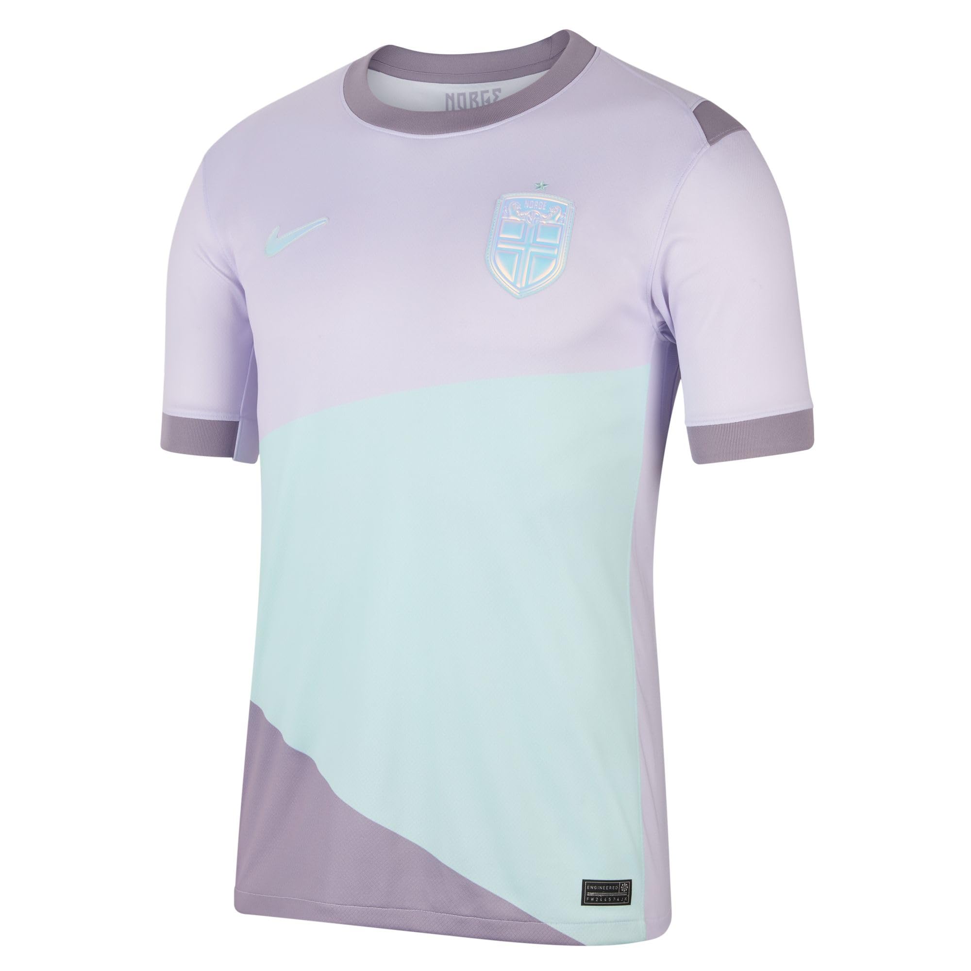 Norwegen 2025 Stadium Away (Frauenteam) Nike Dri-FIT Replika-Fußballtrikot für Herren, FZ9027