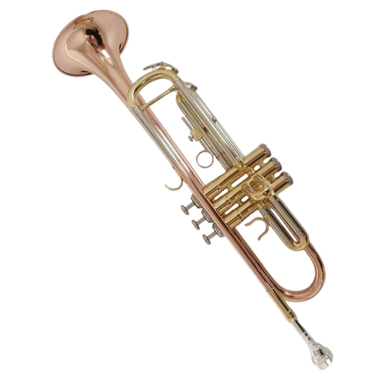 Professional Trumpet Trompeta en si bemol para principiantes
