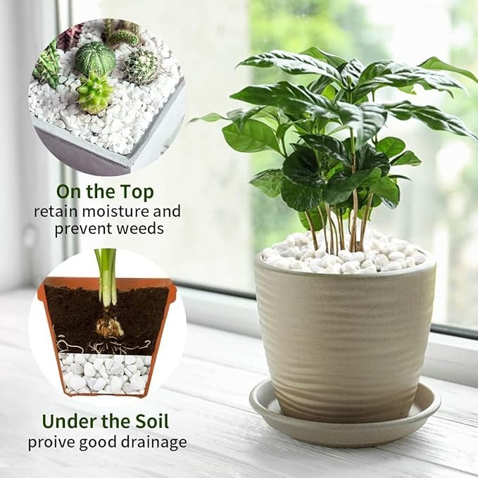 Image of BKD White Pebble Decorative Stones Marble Chips [1 Kg] for Aquarium Garden Indoor & Outdoor Decoration Pebble Stone White - (1 KG)