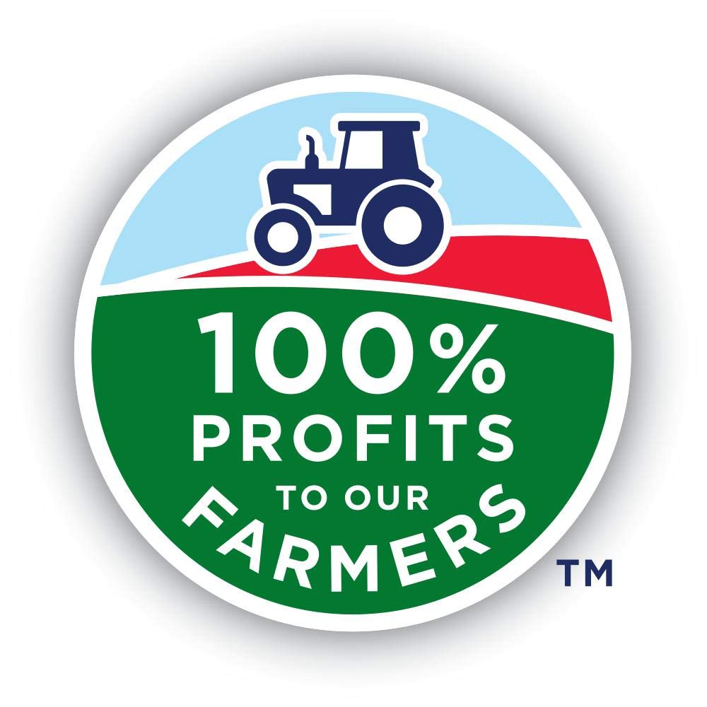 Ocean Spray 100% Apple Juice, 60 Fl Oz (Pack of 8) : Fruit Juices : Everything Else