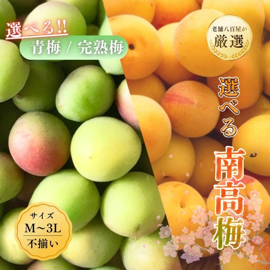 Amazon.co.jp: [みさわのやさい] 南高梅 生梅 完熟梅 訳あり サイズ
