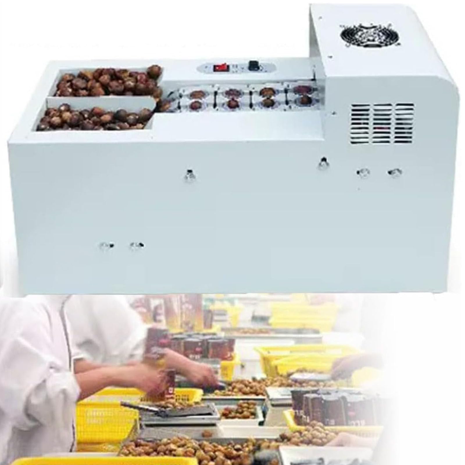AYCDL Automatic Chestnut Shelling and Opening Machine, Commercial Chestnut Notching Machine, No Damage to Chestnuts Suitable for Chestnuts,Doublechainplate,Singlechainplate,Doublechainplate