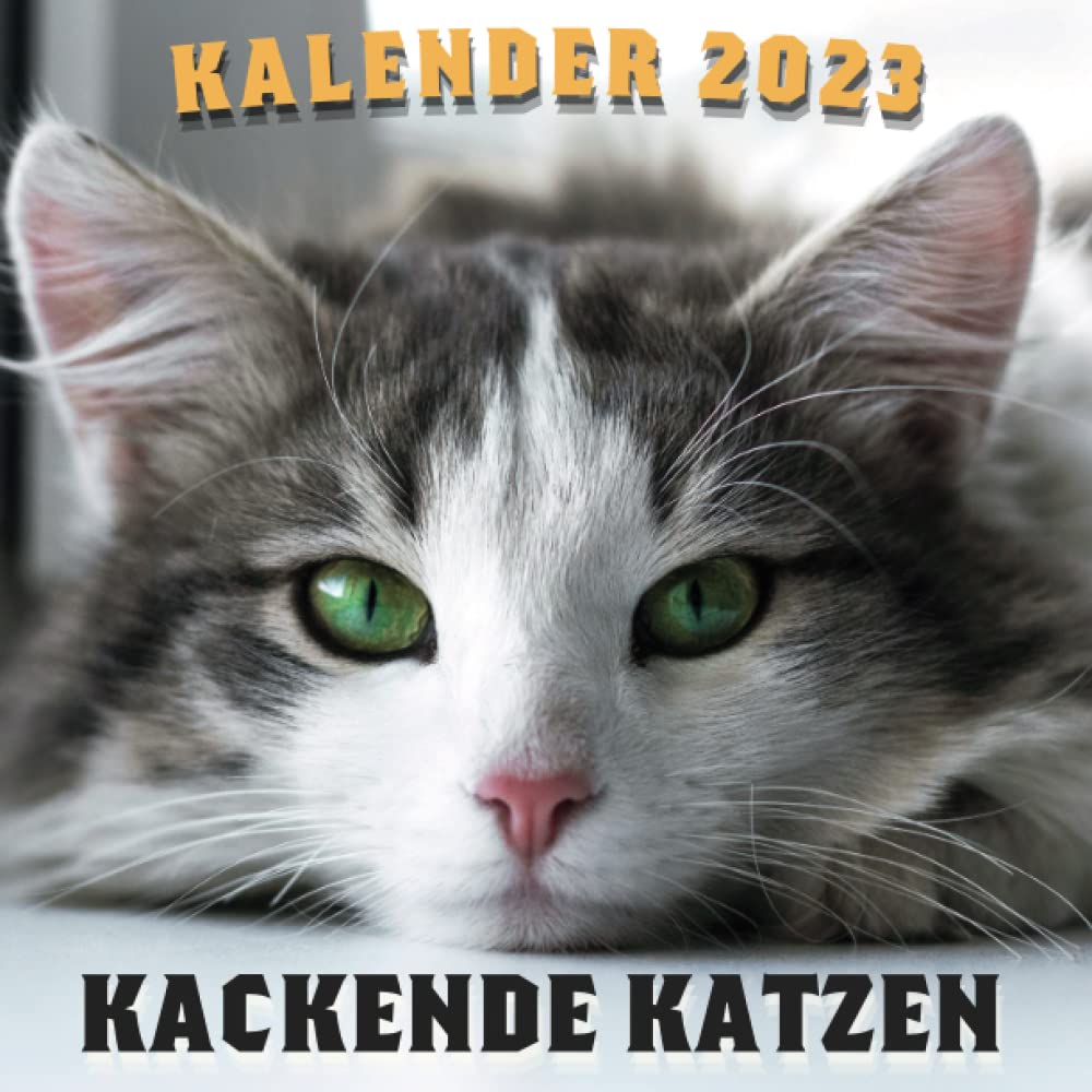 kackende katzen kalender 2023: Jeden Monat ein neues amüsantes
