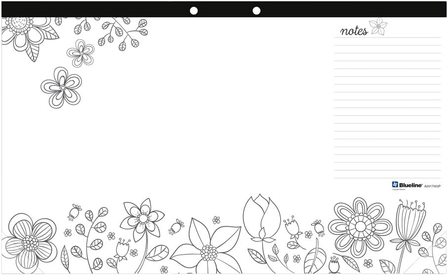 Blueline DoodlePlan Coloring Desk Pad, Garden Design, 17.75 x 10.875 inches (A2917003P) : Office Products