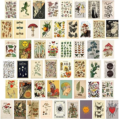 Vintage Wall Collage Kit, 50 PCS Collage Kit Aesthetic Picture Room Decor for Teens Girls, Posters for Bedroom Wall Art Prints - Multi-Plant
