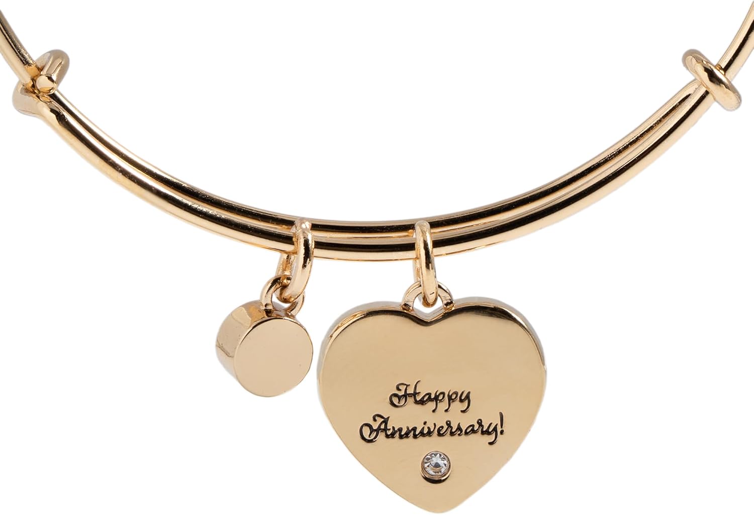 Alex and Ani First Anniversary Bangle - Image 2