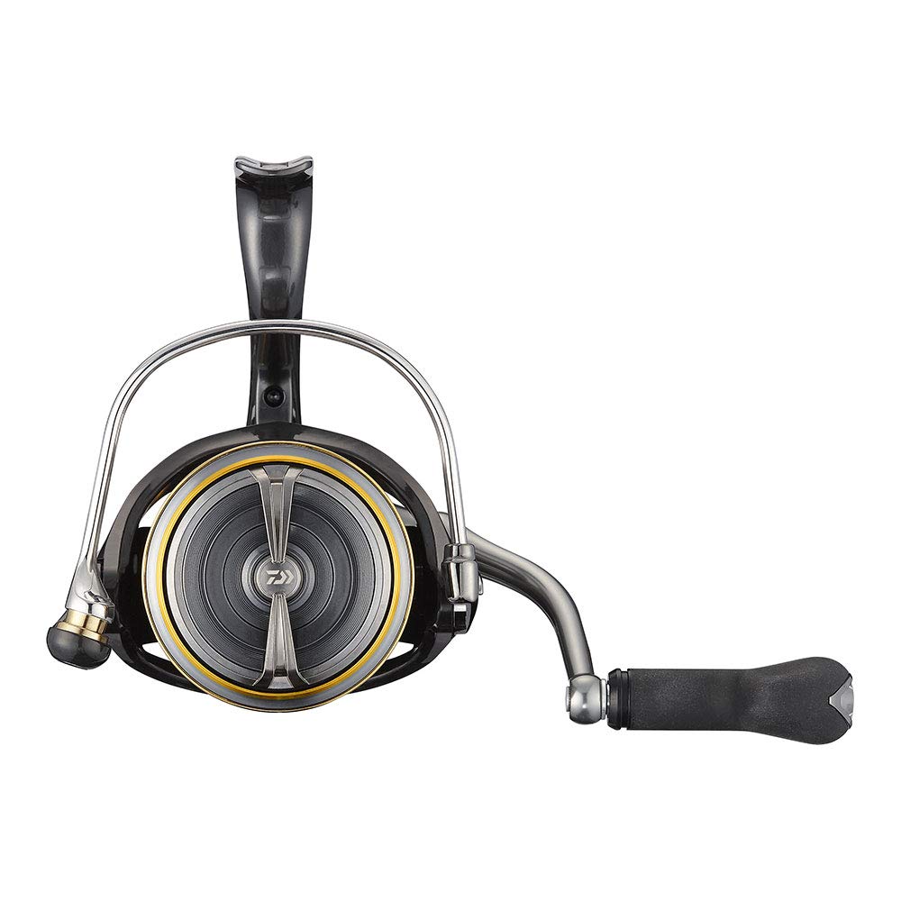 Amazon.com : DAIWA 21 LUVIAS AIRITY LT4000-CXH : Sports & Outdoors