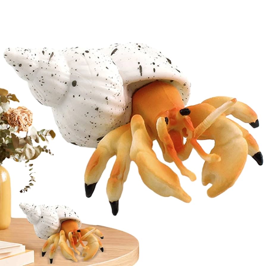 Amazon.co.jp: ヤドカリのおもちゃ | 模造ヤドカリの置物 ホーム