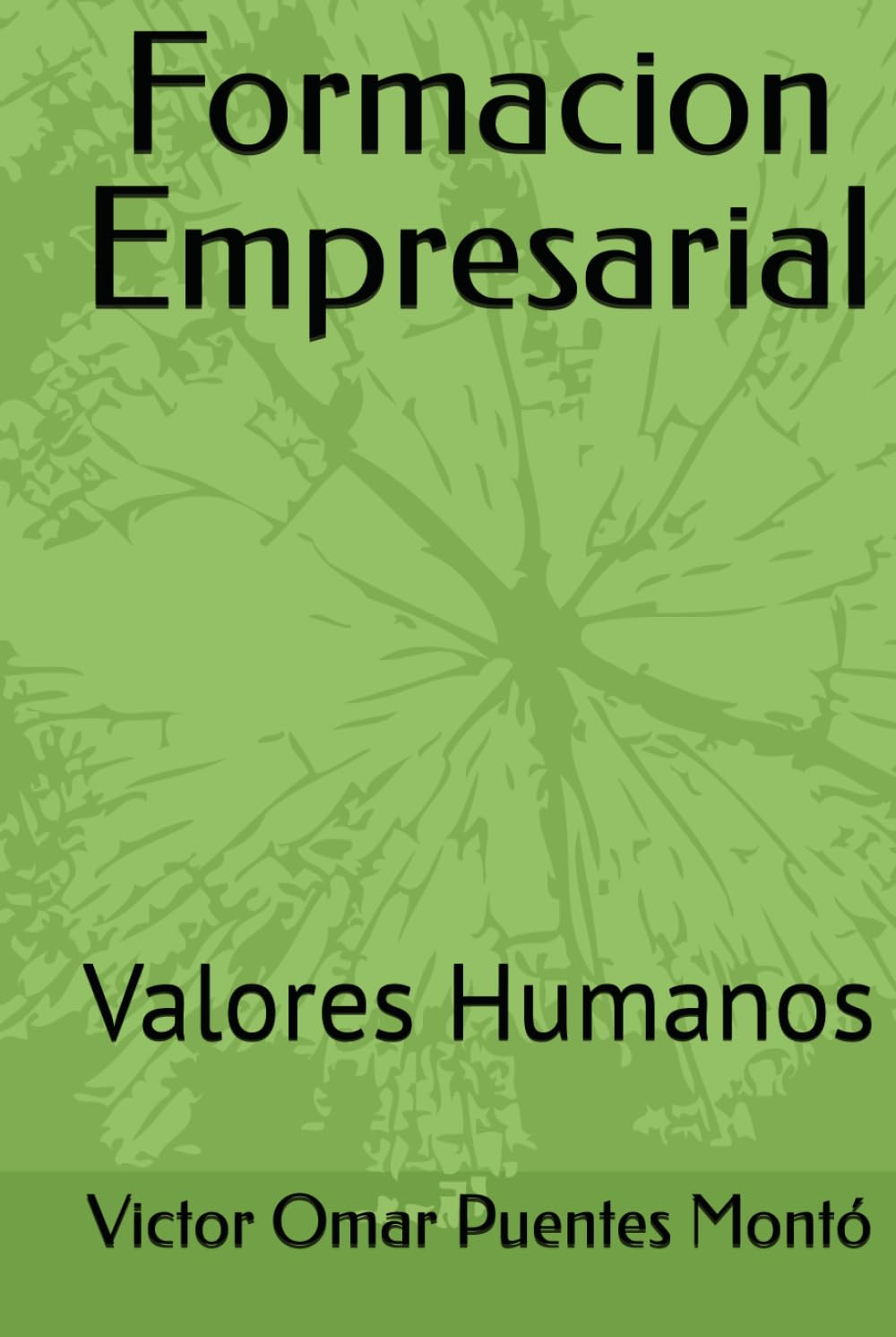 La Formacion Empresarial: Valores Humanos