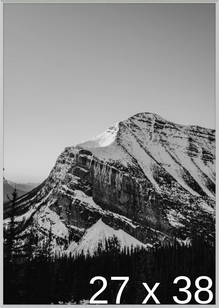 Amazon.co.jp: 27 x 38ポスターフレーム – プロファイル: # 93