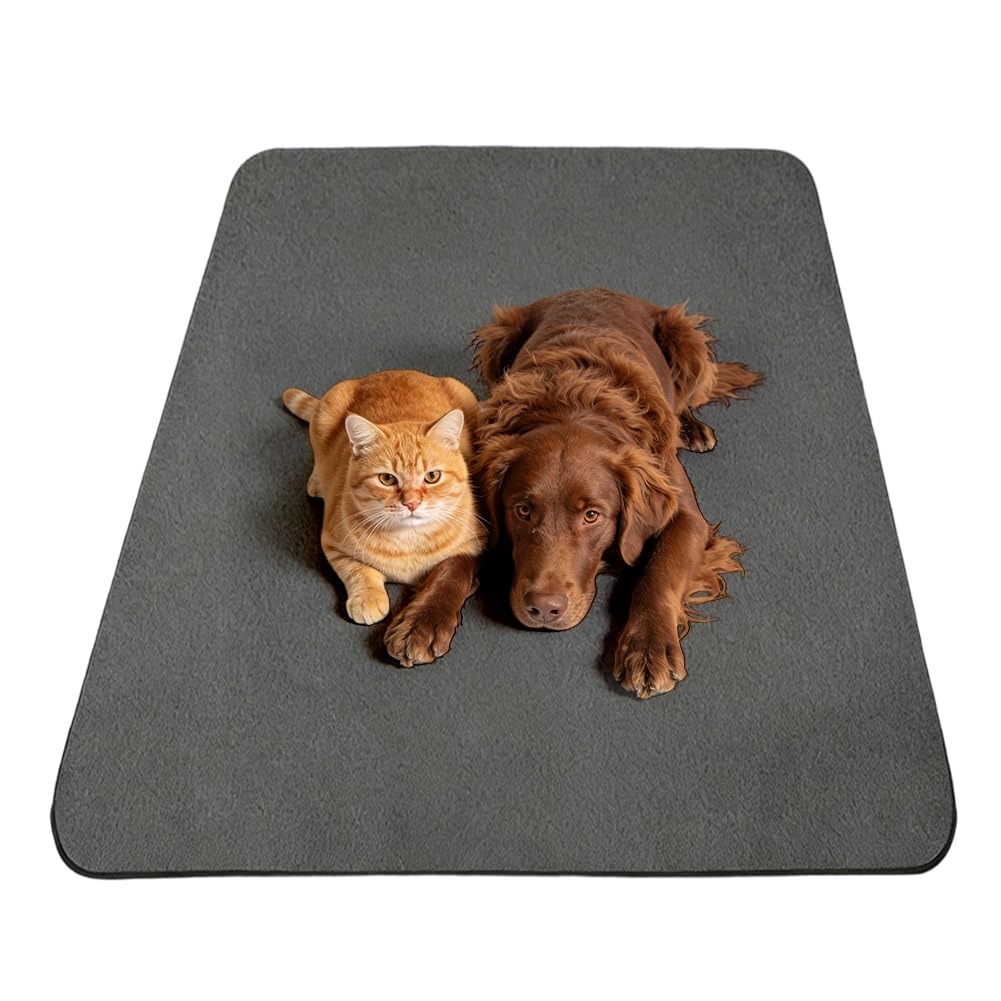 Cleany Mat Hund Pinkelmatte für Hunde, PIPI Matten für Hunde & PIPI Pads Meerschweinchen - wasserdichte, Schnell Absorbierende Hundedecke, Waschbar für Inkontinenz, Welpentraining (168X125CM*1)