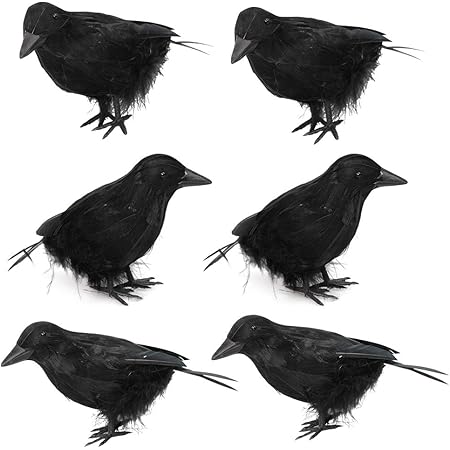 Amazon Co Jp 羽毛カラス 鳥おもちゃ鳥の家の飾り リアルな羽根 黒 人工カラス 鳥獣害用品 防鳥防獣対策 鳥翼のある黒いカラス写真小道具 舞台道具 強い雰囲気 クリスマス ハロウィン パーティー 用 三羽セット おもちゃ