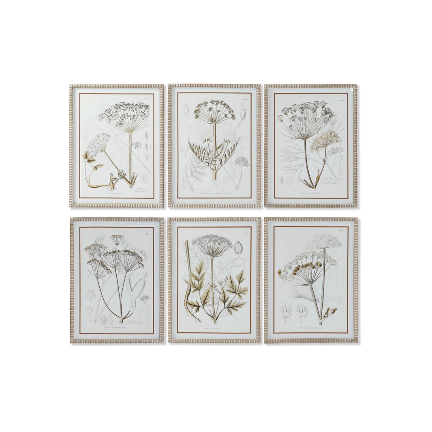 DKD Home Decor Cuadro de la Marca, Multicolor (2,5 x 45 x 60 centímetros) (6 Unidades)