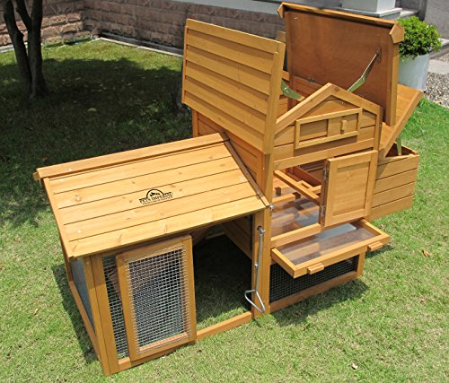 Pets Imperial® Clarence Kleiner Hühnerstall - Schiebetablett & integrierter Hühnerauslauf - Hühnerhaus mit 2 Nistplätzen – Bild 5