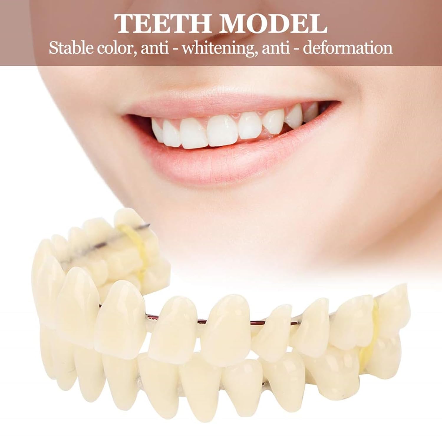 ZJchao 280pcs/10 Set Resin Denture False Teeth, Teeth Teaching Model, Resin Denture for Patients with Oral Cavity Loss, Supply Accessory